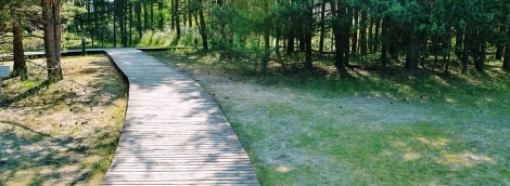 poilsis palangoje viesbutis meduza takas 9504