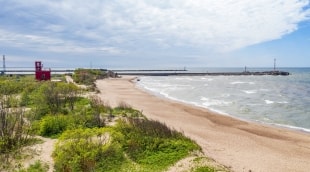 Melnragė 4