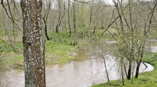 Anyksciai