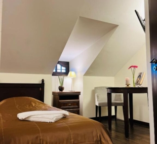 Monte Pacis standartinis kambarys