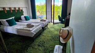 EGO SPA kambarys su vaizdu į pušyną 4