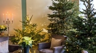 Mercure Klaipeda City, Naujieji metai 2