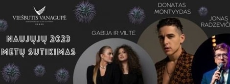 Naujieji metai Vanagupėje, Donatas Montvydas 2