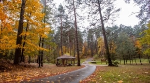 Žvaigždžių orbita (2)