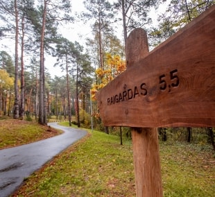 Žvaigždžių orbita (5)