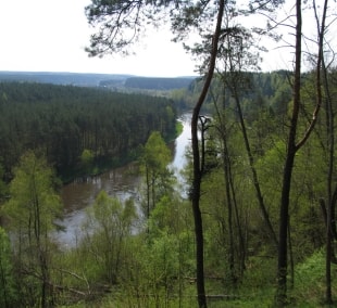 2011 05 02 Ausiutiskiu regykla atnaujinta standas 004