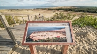 Nida, Parnidžio kopa