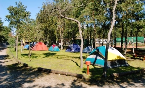 kempingai prie juros nidos kempingas miestelis 11644