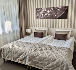 nykscio namai dvivietis 6