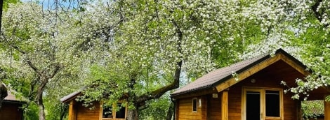 Obuolių sala, nameliai