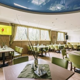 poilsis oro dubingiai vietos