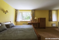 ORO Dubingiai deluxe LANGAS 5539