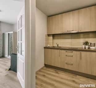 poilsis nidoje oro nida dvivietis virtuvele 12081
