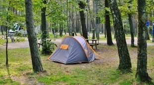 pajurio kempingas aplinka 11648