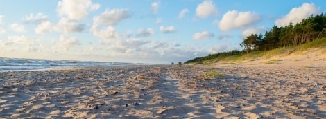 palanga4