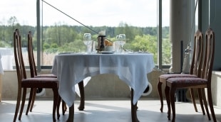 poilsis paliesiaus dvare diena