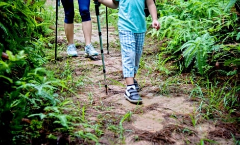 šiaurietiškas ėjimas Paliesiaus dvare