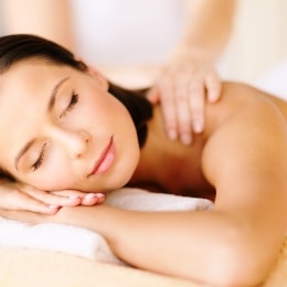 poilsis paliesiaus dvare spa 15103
