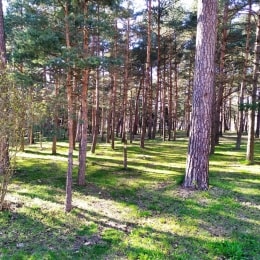 IMG 20200422 182141