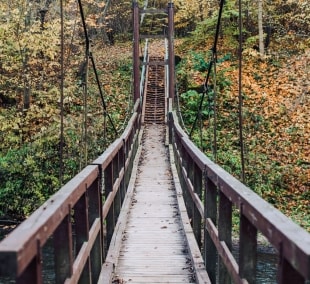 Pavilniu regioninis parkas ruduo diena vertikali Walkable Vilnius