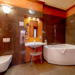 Pažaislis Park Hotel Deluxe kambarys