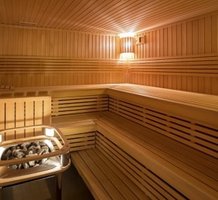 pazaislis park sauna