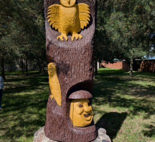 Pelėdnagiai