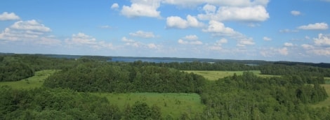 4 Siberijos pelke is apzvalgos boksto. AB n