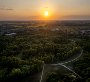 Poilsis gamtoje, Šiauliuose,, Dainų parkas Rinat Tarzumanov (2)