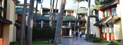 poilsis palangoje prie parko lauke 15233
