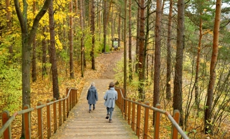 iStock 1163570198
