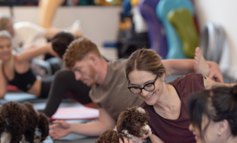 puppy yoga joga su suniukais 5 c 9684