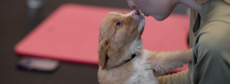 Puppy Yoga, joga su šuniukais 4