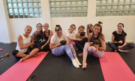 Puppy Yoga, joga su šuniukais ir kačiukais