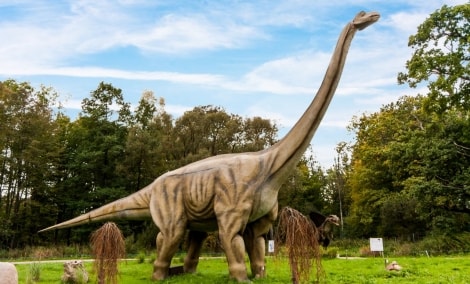 poilsis klaipedoje radailiu dvare dino parkas milzinas 11914