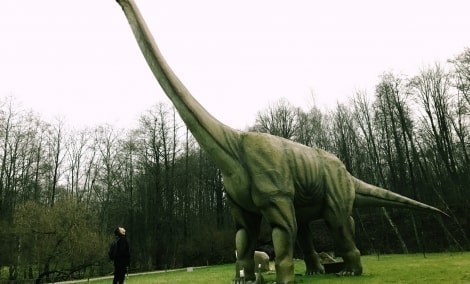 ka veikti klaipedoje dino parkas vaizdas 12525