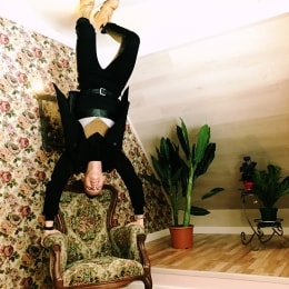 radailiu dvaras vaizdas