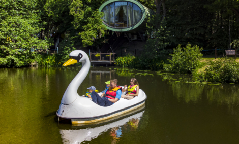 Radailių dvaras, DINO parkas 4