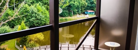 Radailių dvaras karališkas liuksas 5