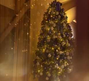 Radisson Collection Astorija Naujieji metai 2026, 