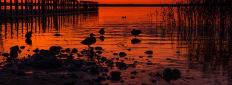Sunset in Rėkyva D. Dovydaitis