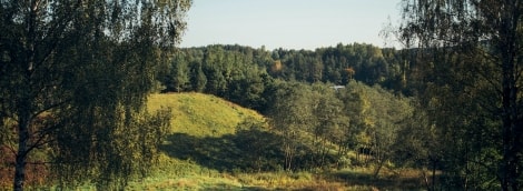 IMG 0020