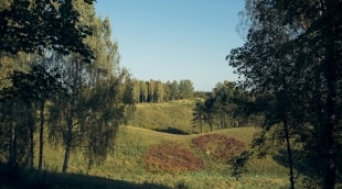 IMG 0022