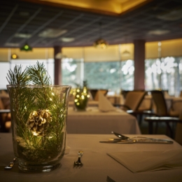 royal spa residence naujieji metai 2