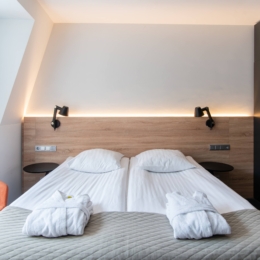 Royal SPA Residence Birštonas standart Plus kambarys 4