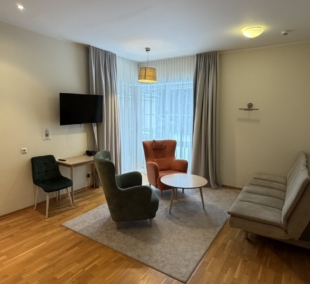 Royal SPA Birštonas mini apartamentai Svetaine 1 