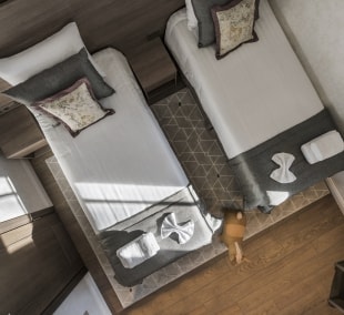 sala plateliai dvi