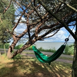 sava villa lepintis