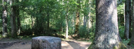 Sėlių šventtakis 3