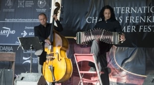 frenkelio vila akordeonas 15505